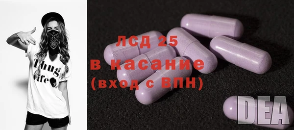 прущие грибы Тихвин